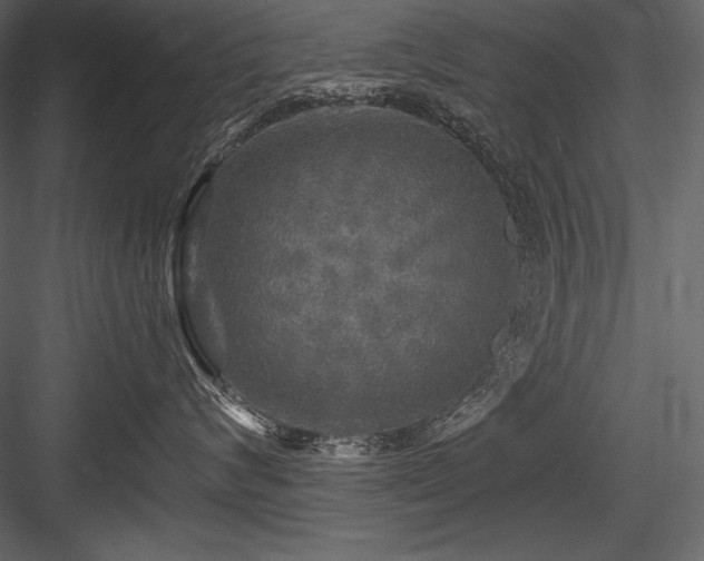 X0000084560624200702231234