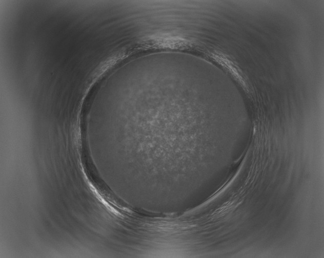 X0000084560630200702231233