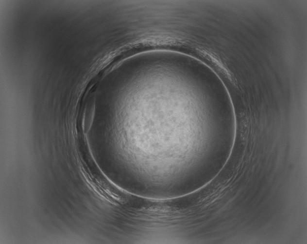 X0000084560631200702231233