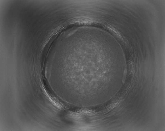 X0000084560638200702231233