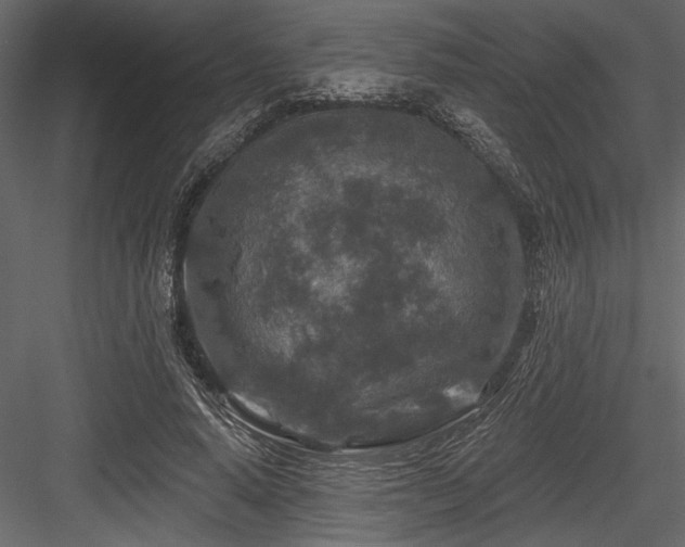 X0000084560640200702231233