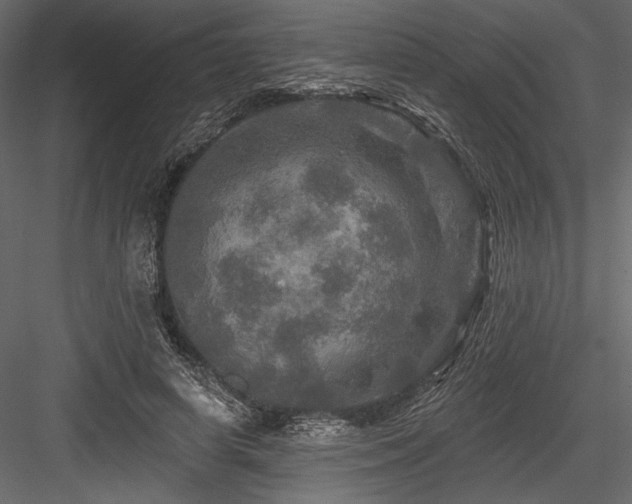 X0000084560642200702231233