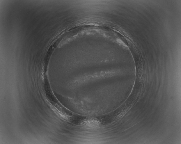 X0000084560644200702231233