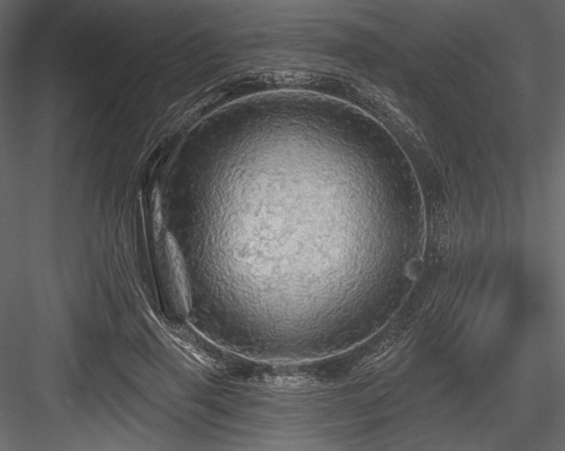 X0000084560645200702231233