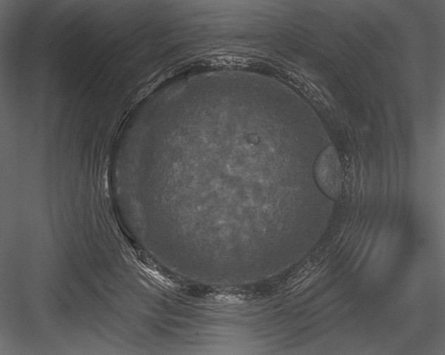 X0000084560649200702231233