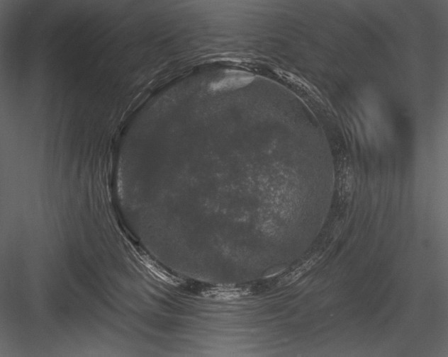X0000084560661200702231233