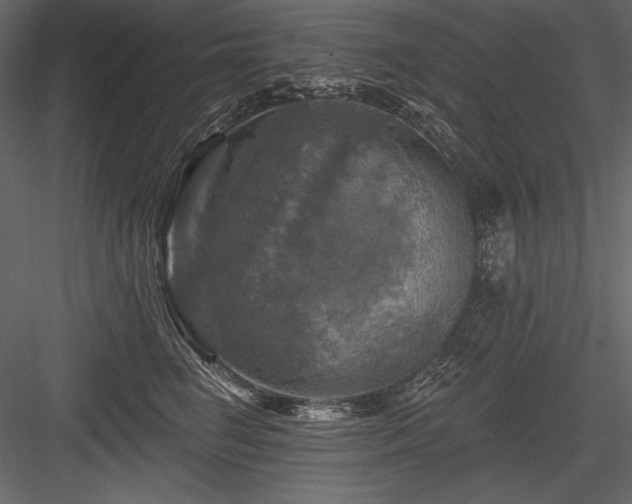 X0000084560662200702231233