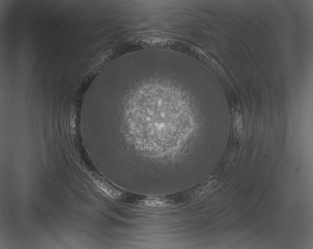 X0000084560668200702231233
