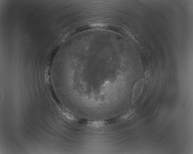 X0000084560671200702231233