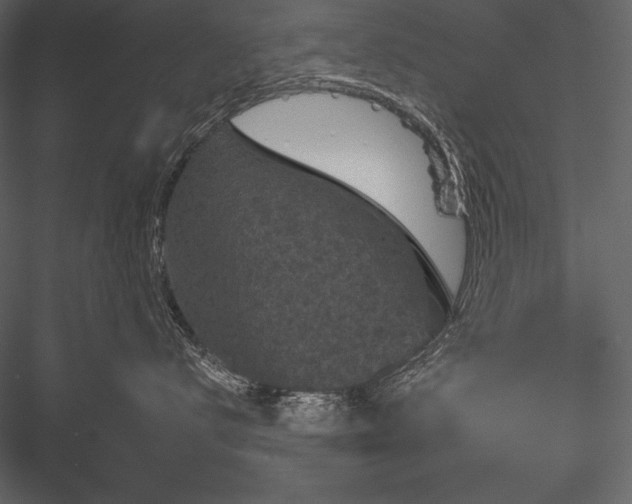 X0000084560672200702231234