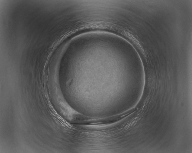 X0000084560673200702231233