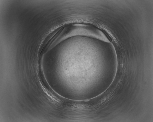 X0000084560677200702231233