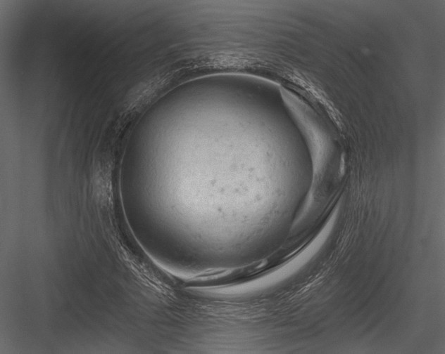 X0000084560681200702231233