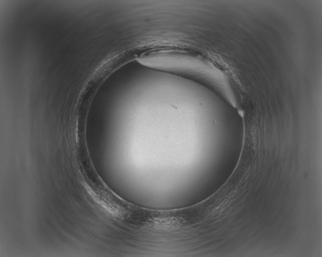 X0000084560686200702231232