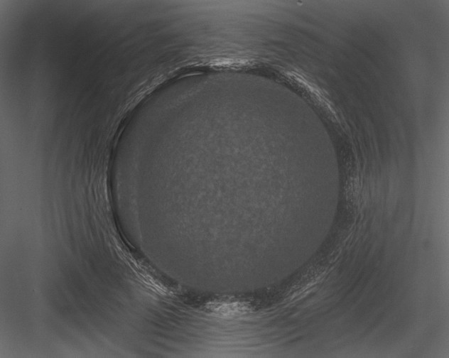 X0000084560689200702231232