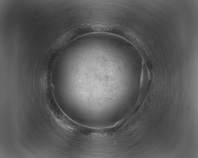 X0000084560690200702231232