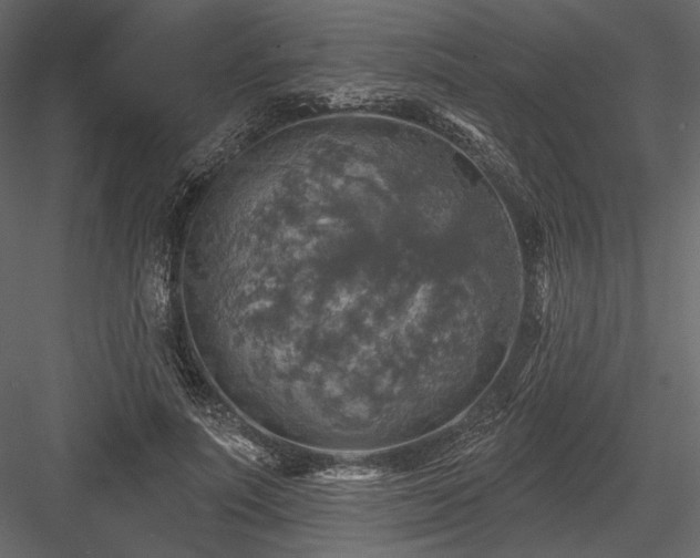 X0000084560691200702231232
