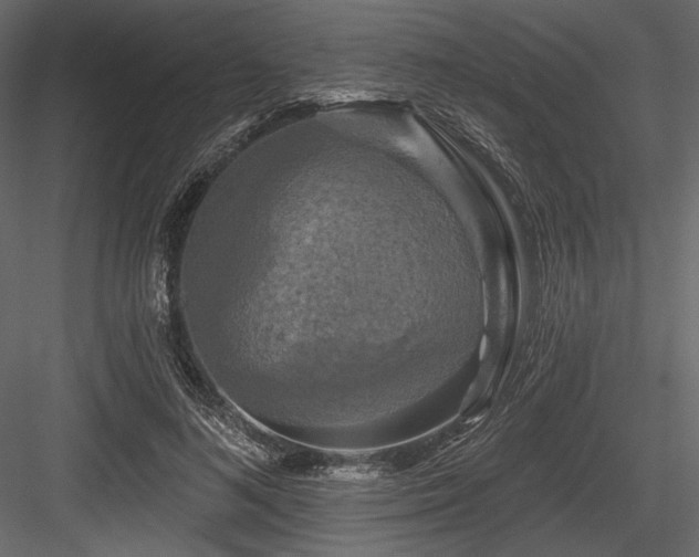 X0000084560692200702231232
