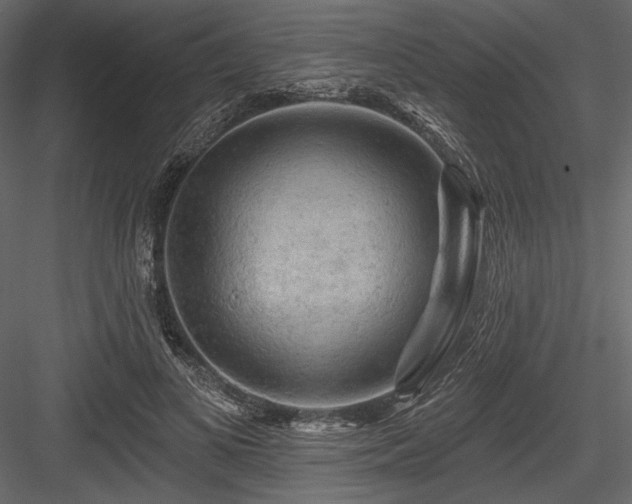 X0000084560693200702231232