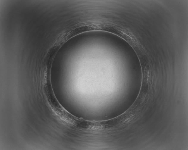X0000084560694200702231232