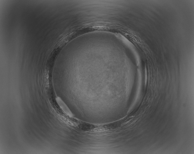 X0000084560696200702231232