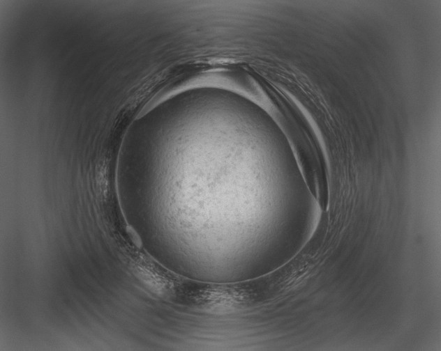 X0000084560697200702231232