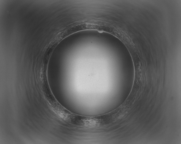 X0000084560698200702231232