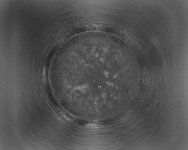 X0000084560699200702231232