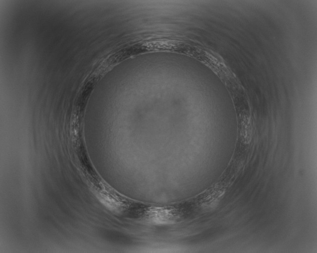 X0000084560701200702231232