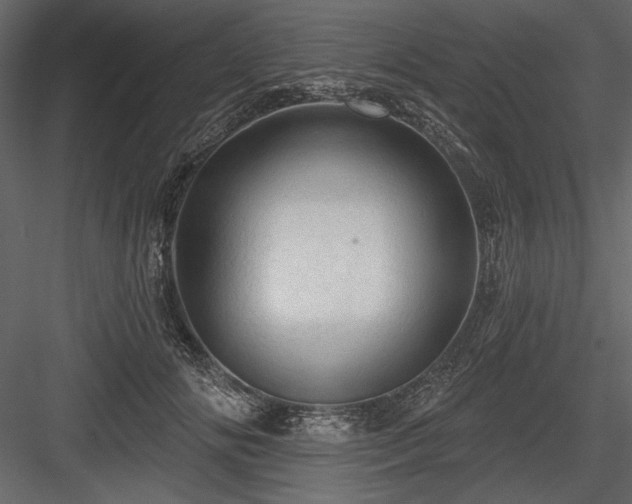 X0000084560702200702231232