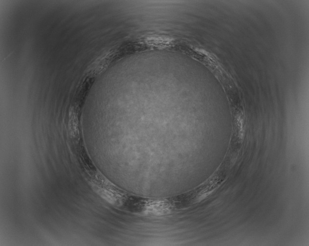 X0000084560705200702231232