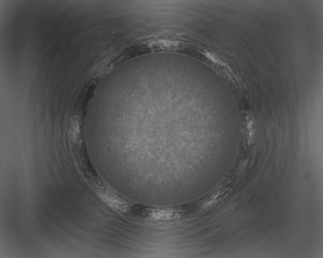 X0000084560709200702231232