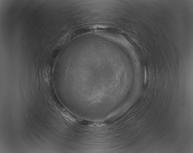 X0000084560712200702231232