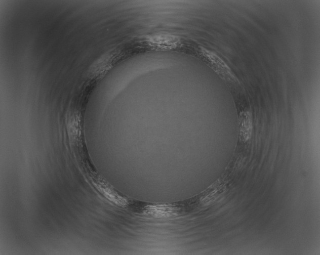 X0000084560713200702231232