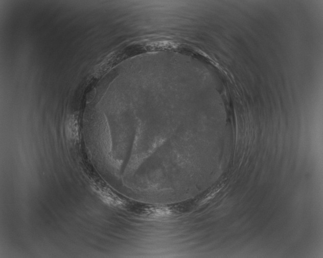 X0000084560715200702231232