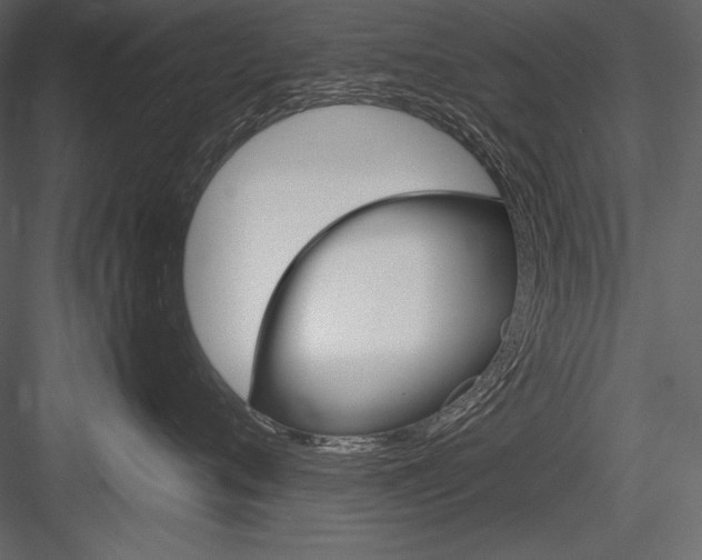 X0000084560720200702231232
