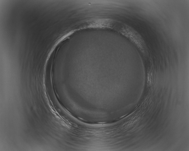 X0000084560724200702231231