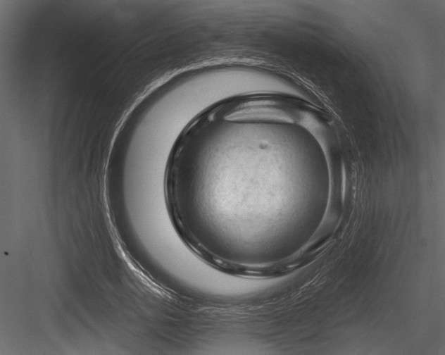 X0000084560726200702231231