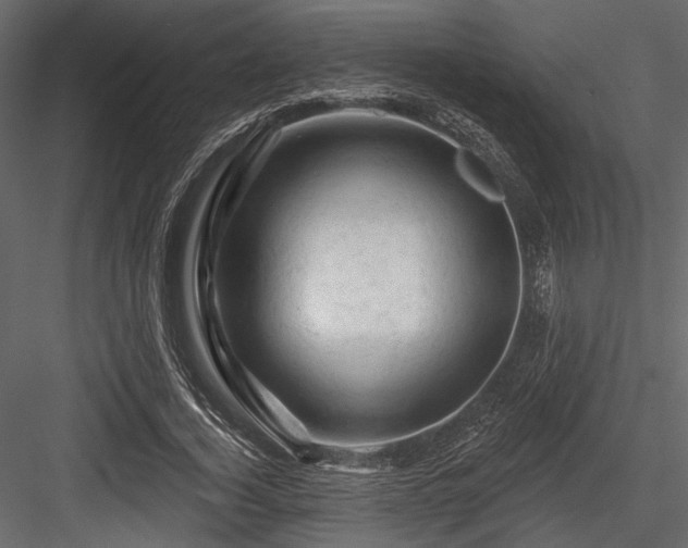 X0000084560732200702231231