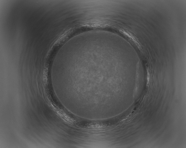 X0000084560735200702231231