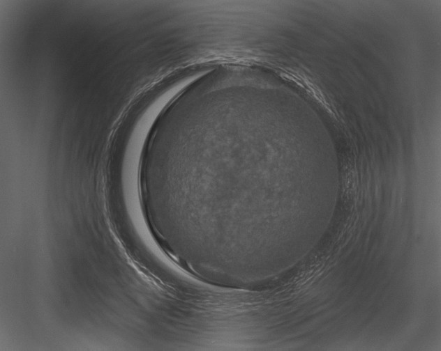X0000084560736200702231231