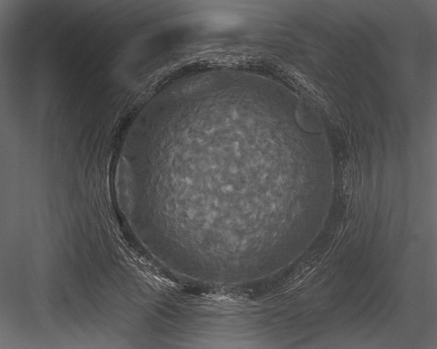 X0000084560737200702231231