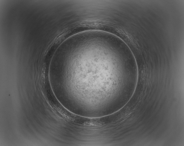 X0000084560739200702231231