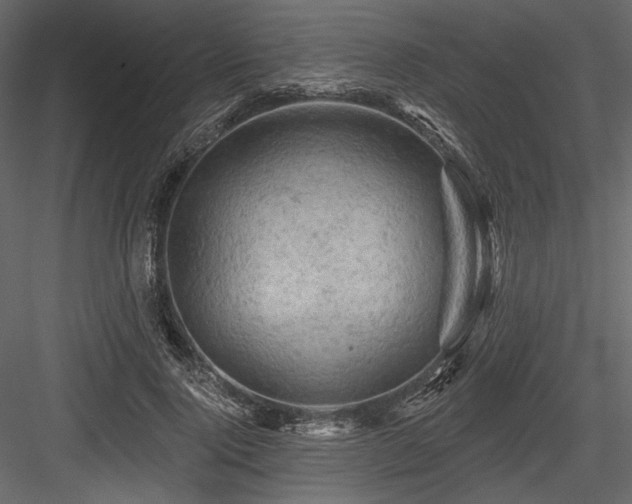 X0000084560740200702231231