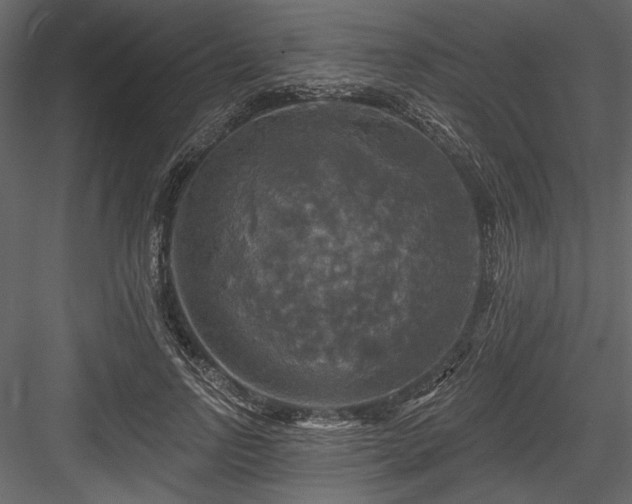 X0000084560742200702231231