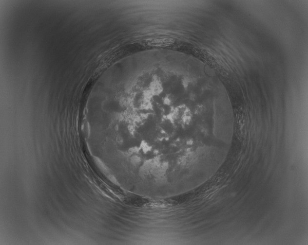X0000084560745200702231231