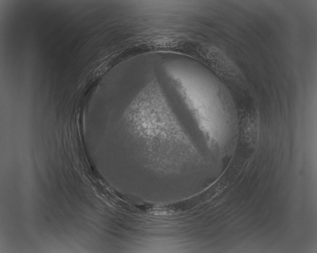 X0000084560746200702231231