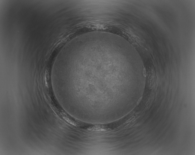 X0000084560747200702231231
