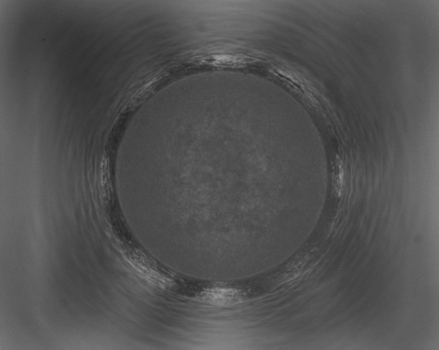 X0000084560748200702231231