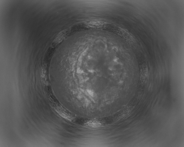 X0000084560749200702231231